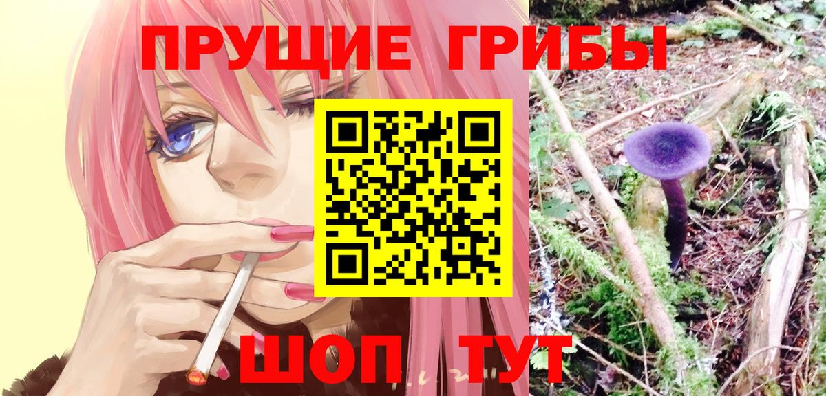 Псилоцибиновые грибы Magic Shrooms Балтийск