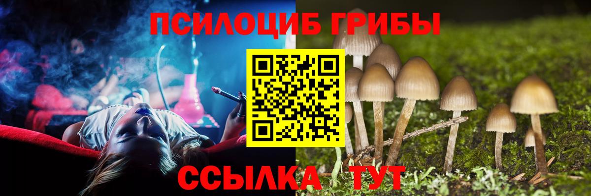 Балтийск  Псилоцибиновые грибы Psilocybe  Псилоцибиновые грибы Cubensis  Вход с VPN 