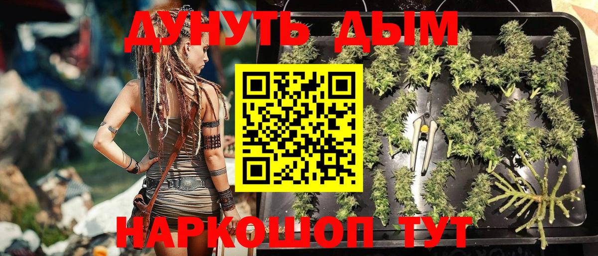 Каннабис план Балтийск